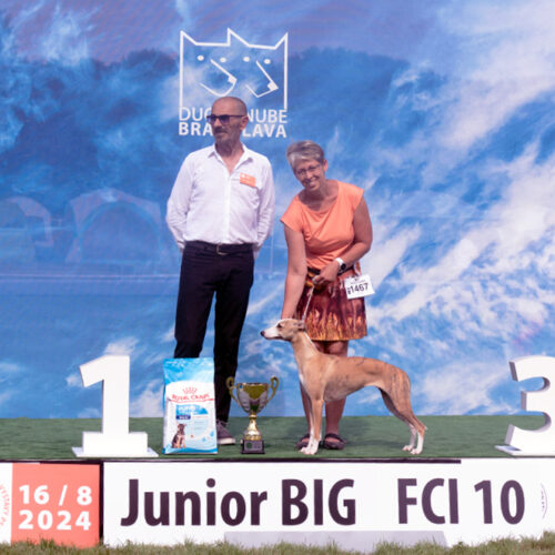 _fci_junior_10_16-8